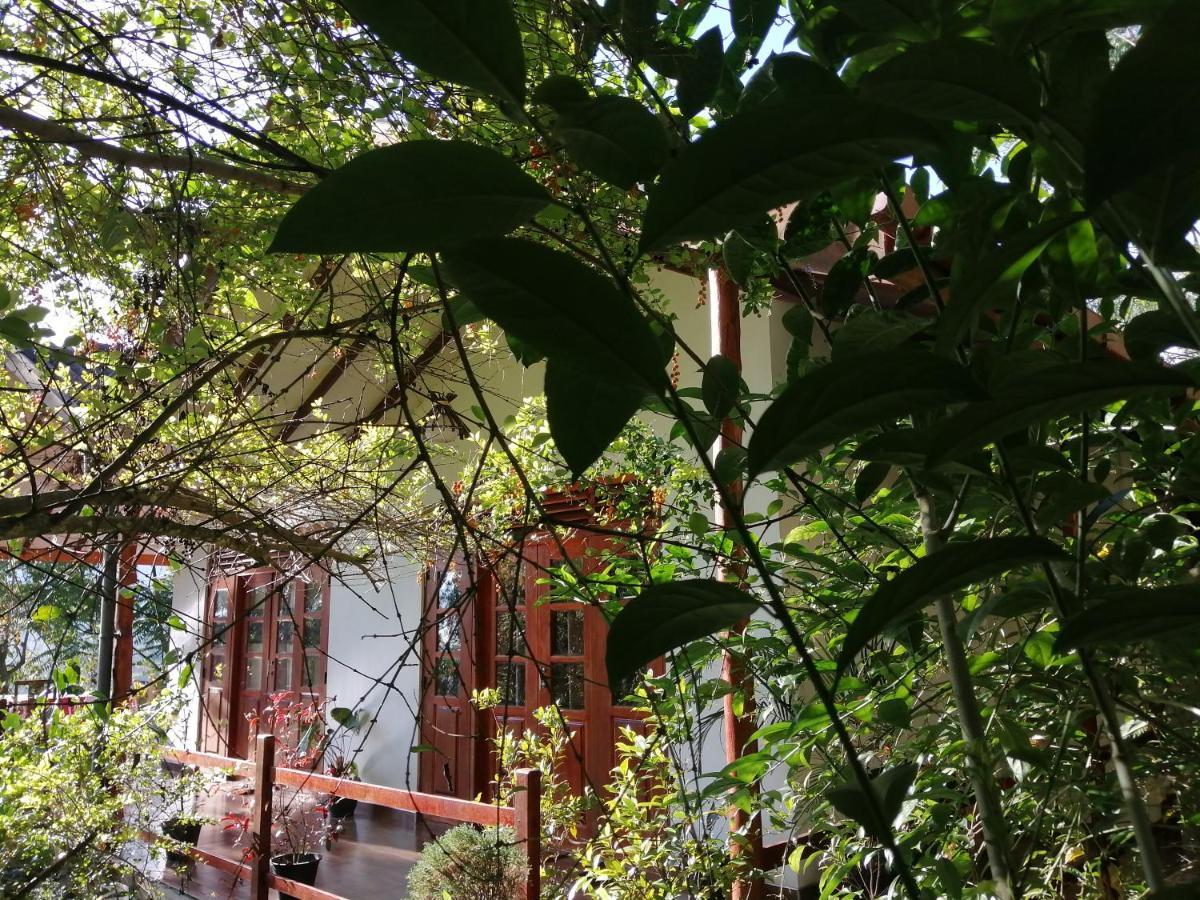Solitary Resort Ella Εξωτερικό φωτογραφία