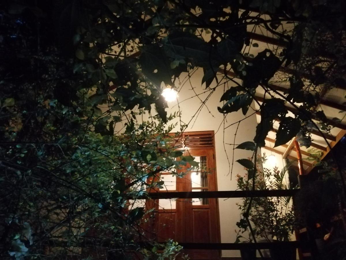 Solitary Resort Ella Εξωτερικό φωτογραφία