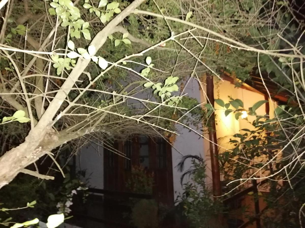 Solitary Resort Ella Εξωτερικό φωτογραφία